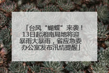 台风“蝴蝶”来袭！13日起湘南局地将迎暴雨大暴雨，省应急委办公室发布汛情提醒