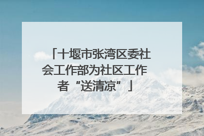 十堰市张湾区委社会工作部为社区工作者“送清凉”