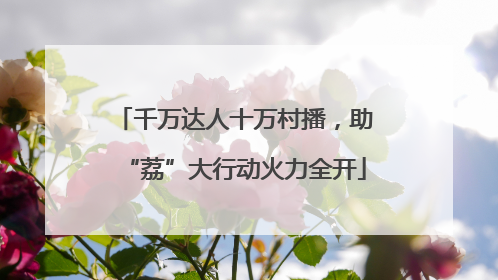 千万达人十万村播，助“荔”大行动火力全开