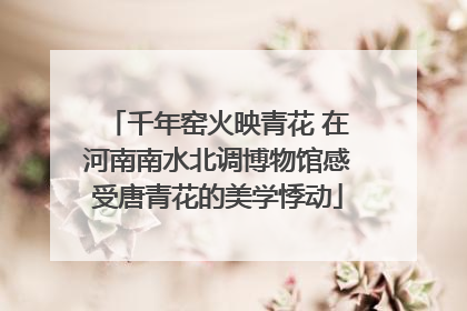 千年窑火映青花 在河南南水北调博物馆感受唐青花的美学悸动