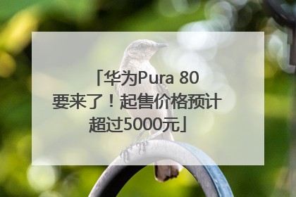 华为Pura 80要来了！起售价格预计超过5000元