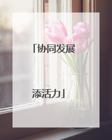协同发展添活力