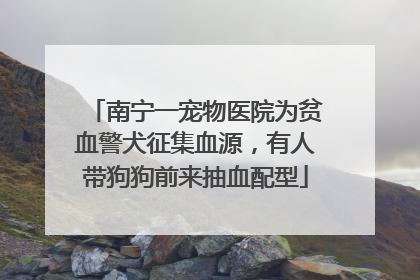 南宁一宠物医院为贫血警犬征集血源，有人带狗狗前来抽血配型