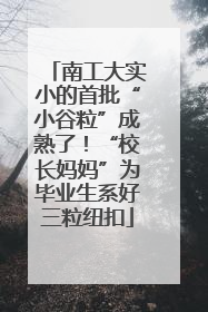 南工大实小的首批“小谷粒”成熟了！“校长妈妈”为毕业生系好三粒纽扣