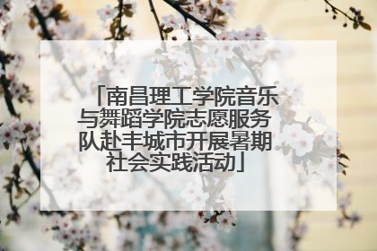 南昌理工学院音乐与舞蹈学院志愿服务队赴丰城市开展暑期社会实践活动