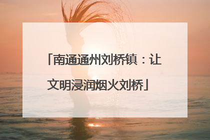 南通通州刘桥镇：让文明浸润烟火刘桥