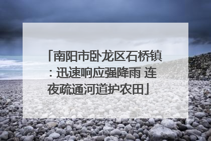 南阳市卧龙区石桥镇：迅速响应强降雨 连夜疏通河道护农田