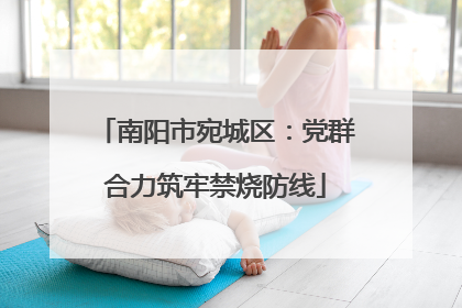 南阳市宛城区：党群合力筑牢禁烧防线