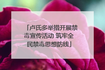 卢氏多举措开展禁毒宣传活动 筑牢全民禁毒思想防线
