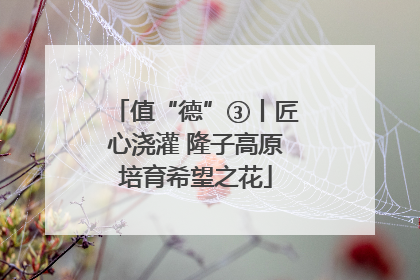 值“德”③丨匠心浇灌 隆子高原培育希望之花