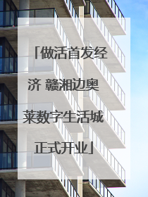做活首发经济 赣湘边奥莱数字生活城正式开业