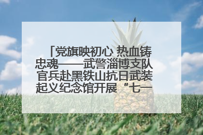 党旗映初心 热血铸忠魂——武警淄博支队官兵赴黑铁山抗日武装起义纪念馆开展“七一”主题党日活动