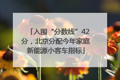 入围“分数线”42分，北京分配今年家庭新能源小客车指标
