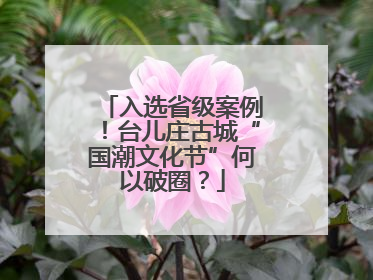入选省级案例！台儿庄古城“国潮文化节”何以破圈？