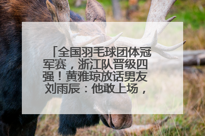 全国羽毛球团体冠军赛，浙江队晋级四强！黄雅琼放话男友刘雨辰：他敢上场，我一个劲遛他