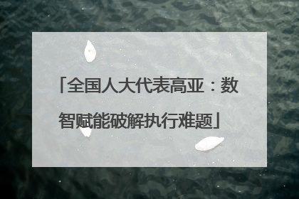 全国人大代表高亚：数智赋能破解执行难题