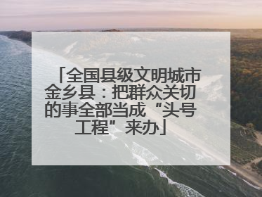全国县级文明城市金乡县：把群众关切的事全部当成“头号工程”来办