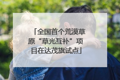 全国首个荒漠草原“草光互补”项目在达茂旗试点
