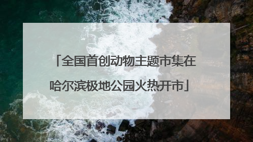 全国首创动物主题市集在哈尔滨极地公园火热开市