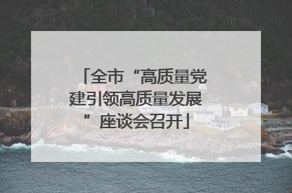 全市“高质量党建引领高质量发展”座谈会召开