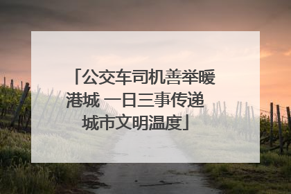 公交车司机善举暖港城 一日三事传递城市文明温度