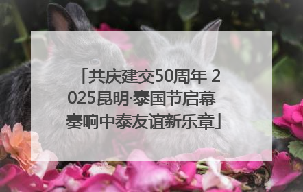 共庆建交50周年 2025昆明·泰国节启幕 奏响中泰友谊新乐章