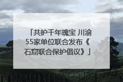 共护千年瑰宝 川渝55家单位联合发布《石窟联合保护倡议》