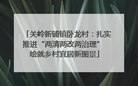 关岭新铺镇卧龙村：扎实推进“两清两改两治理” 绘就乡村宜居新图景