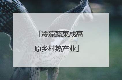 冷凉蔬菜成高原乡村热产业