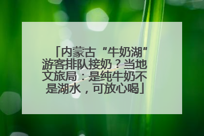 内蒙古“牛奶湖”游客排队接奶？当地文旅局：是纯牛奶不是湖水，可放心喝