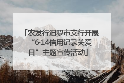 农发行汨罗市支行开展“6·14信用记录关爱日”主题宣传活动