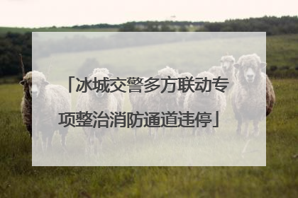 冰城交警多方联动专项整治消防通道违停