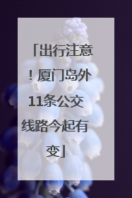 出行注意！厦门岛外11条公交线路今起有变