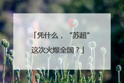凭什么，“苏超”这次火爆全国？