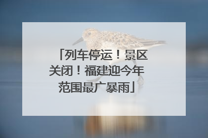 列车停运！景区关闭！福建迎今年范围最广暴雨