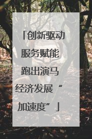 创新驱动 服务赋能 跑出演马经济发展“加速度”
