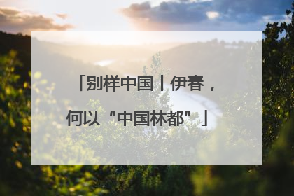 别样中国丨伊春，何以“中国林都”