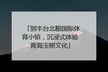 到丰台北粮国际体育小镇，沉浸式体验青海玉树文化