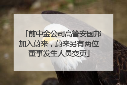 前中金公司高管安国邦加入蔚来，蔚来另有两位董事发生人员变更