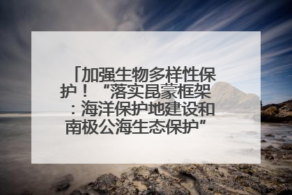 加强生物多样性保护！“落实昆蒙框架：海洋保护地建设和南极公海生态保护”主题论坛将举办