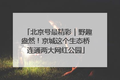 北京号最精彩｜野趣盎然！京城这个生态桥连通两大网红公园