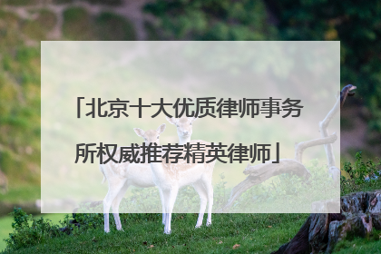北京十大优质律师事务所权威推荐精英律师
