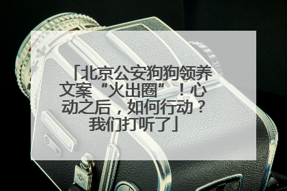北京公安狗狗领养文案“火出圈”！心动之后，如何行动？我们打听了