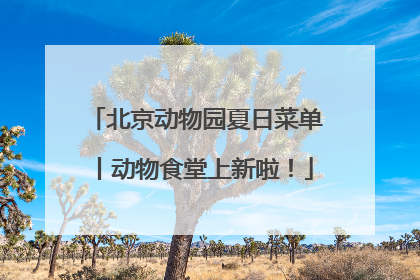 北京动物园夏日菜单丨动物食堂上新啦！
