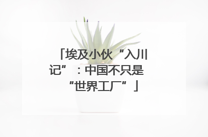 埃及小伙“入川记”：中国不只是“世界工厂”