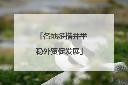 各地多措并举稳外贸促发展