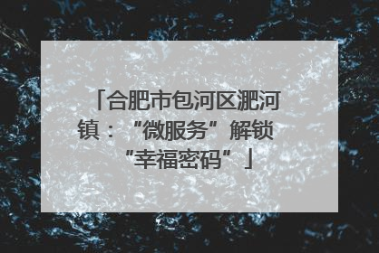 合肥市包河区淝河镇：“微服务”解锁“幸福密码”