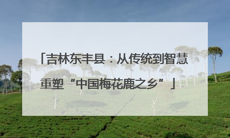 吉林东丰县：从传统到智慧重塑“中国梅花鹿之乡”