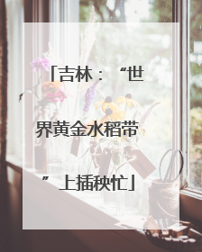 吉林：“世界黄金水稻带”上插秧忙