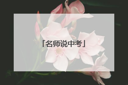 名师说中考